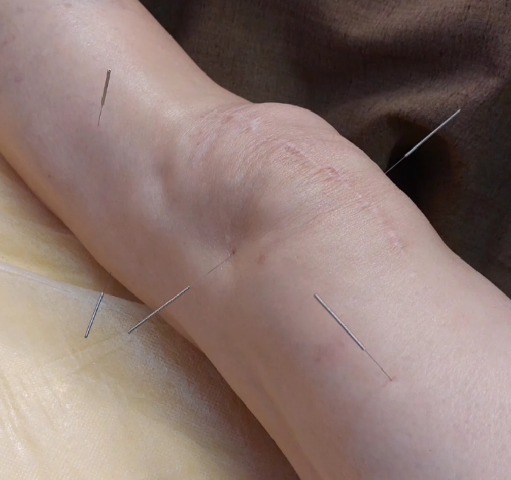 Screenshot_20230808-095041_Gallery